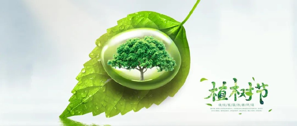 �������������O����ؓ�ô��� ֲ�����¾G����Ͷ�a�I�@�M���_չֲ����