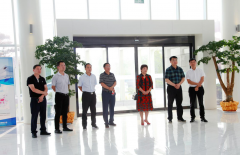 ����Ͷ�a�I(y��)�@Ҫ�����m(x��)���M�����P�Ļ�IP�Ŀ���෽��Մ�ǻ���ײ